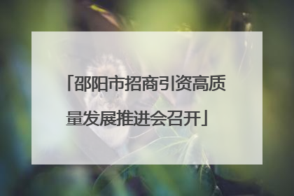 邵阳市招商引资高质量发展推进会召开