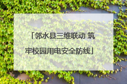 邻水县三维联动 筑牢校园用电安全防线