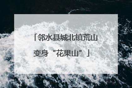 邻水县城北镇荒山变身“花果山”
