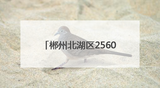郴州北湖区2560万元创业贷款撬动近600个就业岗位