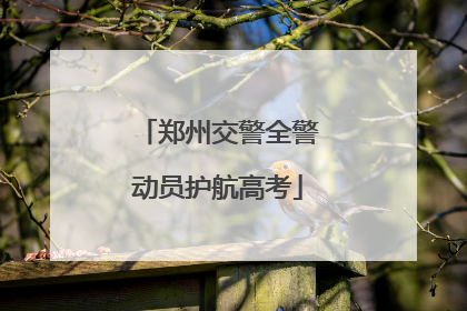 郑州交警全警动员护航高考