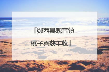 郧西县观音镇桃子喜获丰收