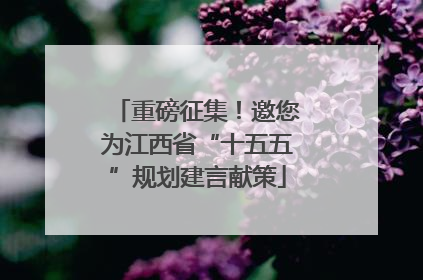 重磅征集！邀您为江西省“十五五”规划建言献策