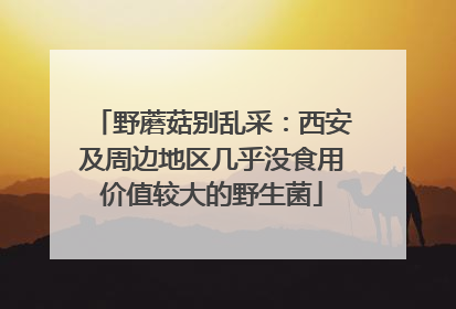野蘑菇别乱采：西安及周边地区几乎没食用价值较大的野生菌