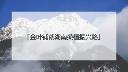 金叶铺就湖南桑植振兴路