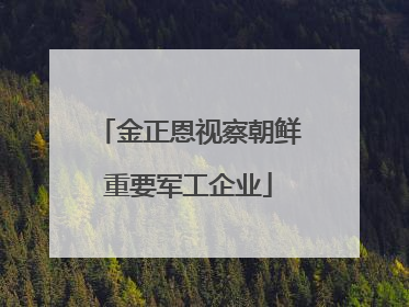 金正恩视察朝鲜重要军工企业