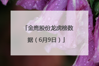 金鹰股份龙虎榜数据（6月9日）