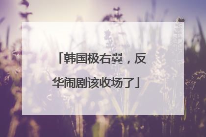韩国极右翼，反华闹剧该收场了