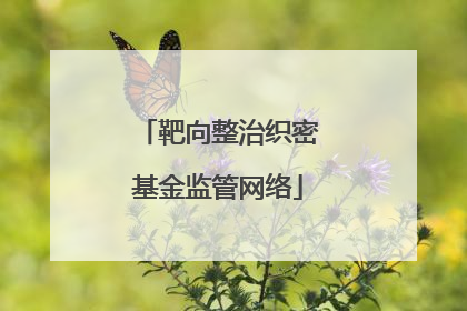 靶向整治织密基金监管网络