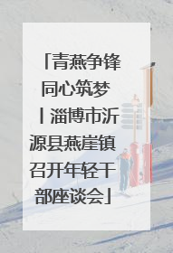 青燕争锋 同心筑梦丨淄博市沂源县燕崖镇召开年轻干部座谈会