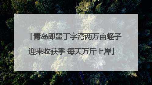 青岛即墨丁字湾两万亩蛏子迎来收获季 每天万斤上岸