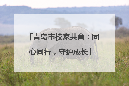 青岛市校家共育：同心同行，守护成长