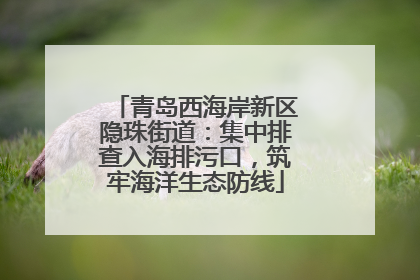 青岛西海岸新区隐珠街道：集中排查入海排污口，筑牢海洋生态防线