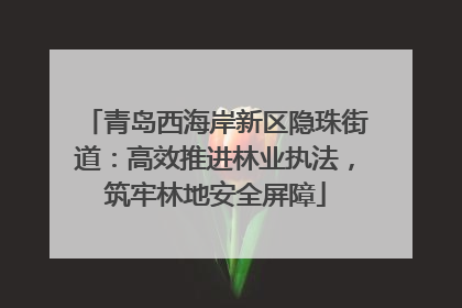 青岛西海岸新区隐珠街道：高效推进林业执法，筑牢林地安全屏障