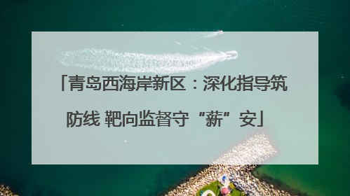 青岛西海岸新区：深化指导筑防线 靶向监督守“薪”安