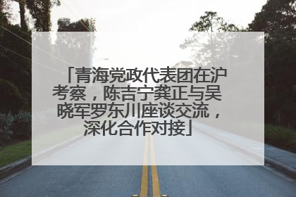 青海党政代表团在沪考察，陈吉宁龚正与吴晓军罗东川座谈交流，深化合作对接