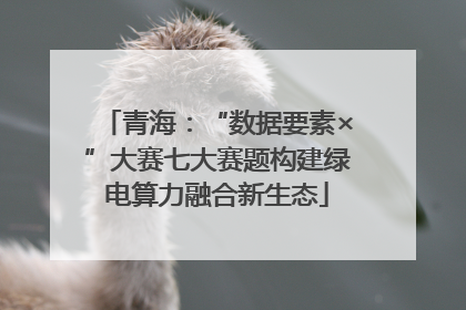 青海：“数据要素×”大赛七大赛题构建绿电算力融合新生态