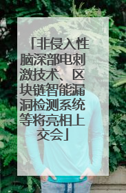 非侵入性脑深部电刺激技术、区块链智能漏洞检测系统等将亮相上交会