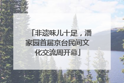 非遗味儿十足，潘家园首届京台民间文化交流周开幕