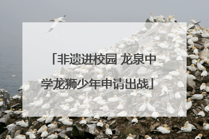 非遗进校园 龙泉中学龙狮少年申请出战