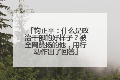 钧正平：什么是政治干部的好样子？被全网赞扬的他，用行动作出了回答