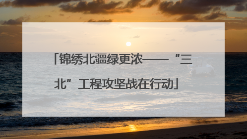 锦绣北疆绿更浓——“三北”工程攻坚战在行动