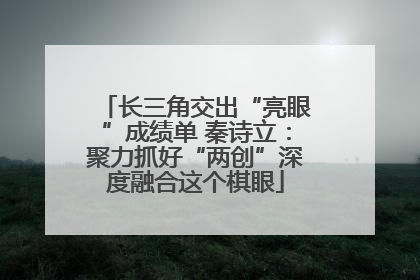 长三角交出“亮眼”成绩单 秦诗立：聚力抓好“两创”深度融合这个棋眼