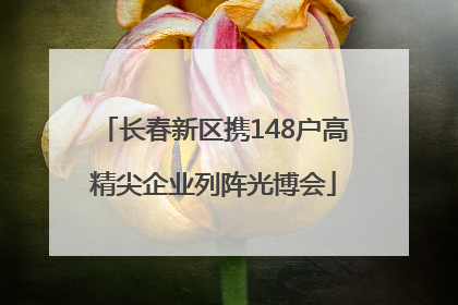 长春新区携148户高精尖企业列阵光博会