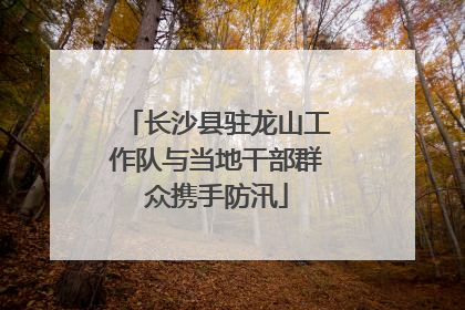 长沙县驻龙山工作队与当地干部群众携手防汛