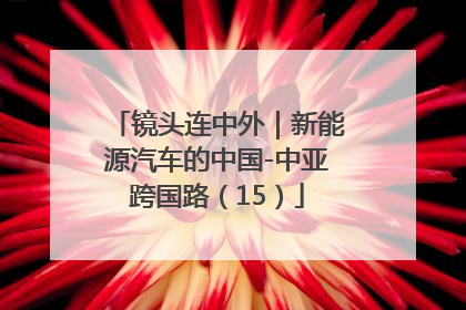 镜头连中外｜新能源汽车的中国-中亚跨国路（15）