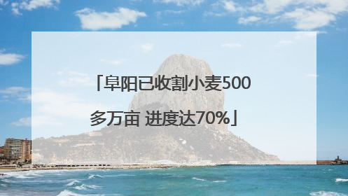 阜阳已收割小麦500多万亩 进度达70%