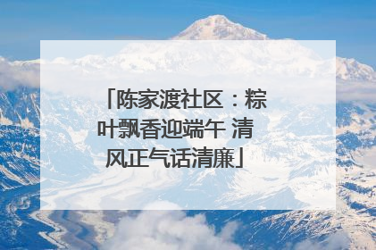 陈家渡社区：粽叶飘香迎端午 清风正气话清廉