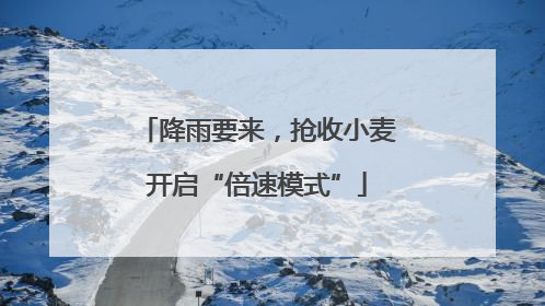 降雨要来，抢收小麦开启“倍速模式”