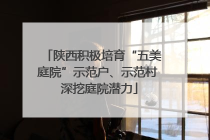 陕西积极培育“五美庭院”示范户、示范村 深挖庭院潜力