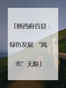 陕西府谷县：绿色发展 “风光”无限