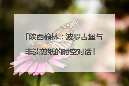 陕西榆林：波罗古堡与非遗剪纸的时空对话