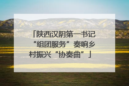 陕西汉阴第一书记“组团服务”奏响乡村振兴“协奏曲”