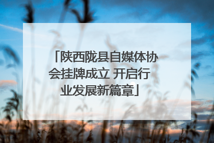 陕西陇县自媒体协会挂牌成立 开启行业发展新篇章