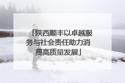 陕西顺丰以卓越服务与社会责任助力消费高质量发展