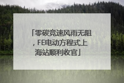 零碳竞速风雨无阻，FE电动方程式上海站顺利收官