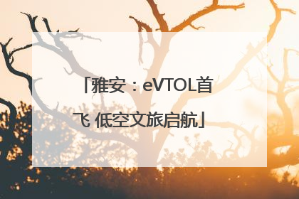 雅安：eVTOL首飞 低空文旅启航