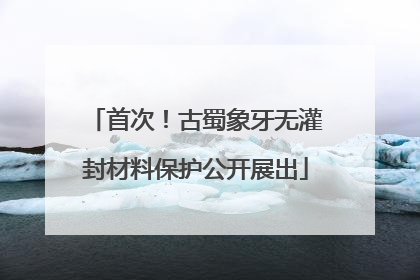 首次！古蜀象牙无灌封材料保护公开展出