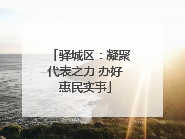 驿城区：凝聚代表之力 办好惠民实事