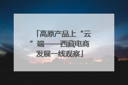 高原产品上“云”端——西藏电商发展一线观察