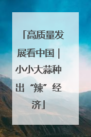 高质量发展看中国｜小小大蒜种出“辣”经济