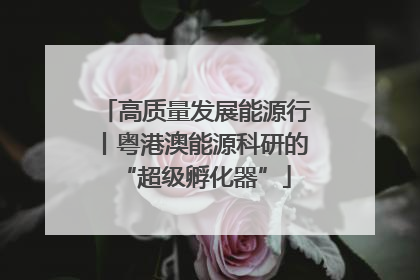 高质量发展能源行丨粤港澳能源科研的“超级孵化器”