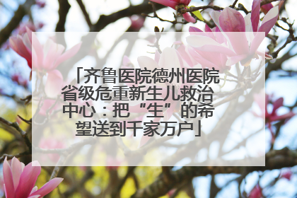 齐鲁医院德州医院省级危重新生儿救治中心：把“生”的希望送到千家万户