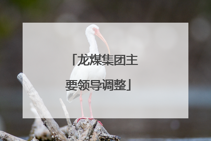 龙煤集团主要领导调整