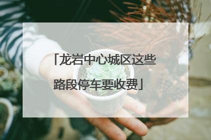 龙岩中心城区这些路段停车要收费