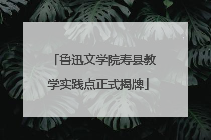 鲁迅文学院寿县教学实践点正式揭牌